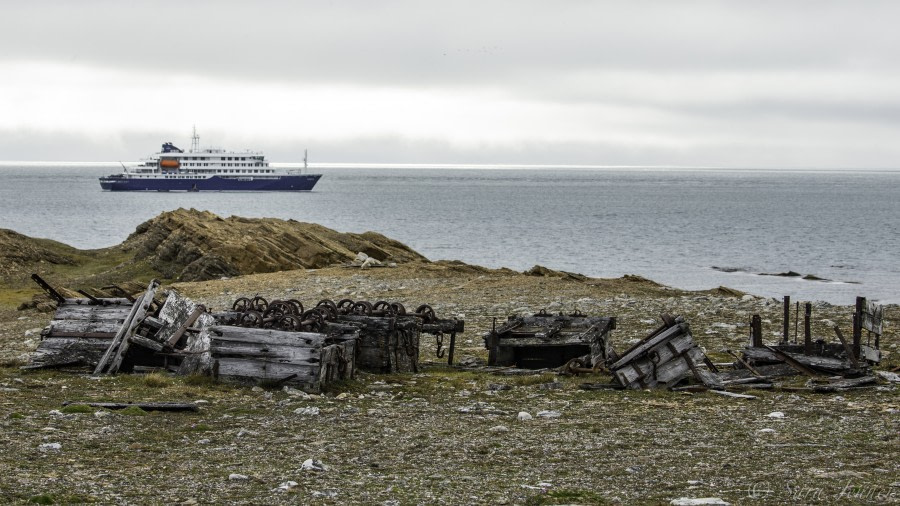 HDS07-19, DAY 06, Camp Miller - Oceanwide Expeditions.jpg