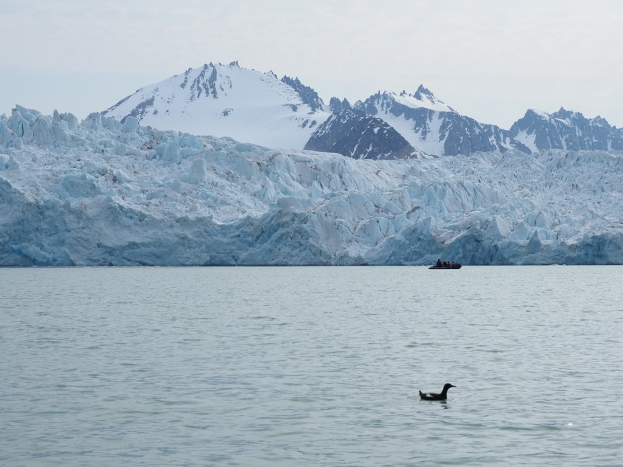 HDS07-19, DAY 03, Black G and Zodiac - Oceanwide Expeditions.jpg