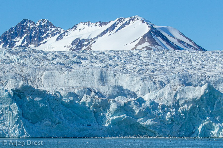 PLA09-19, DAY 01, Lilliehook, 20190704_Arjen_Drost_0011 - Oceanwide Expeditions.jpg