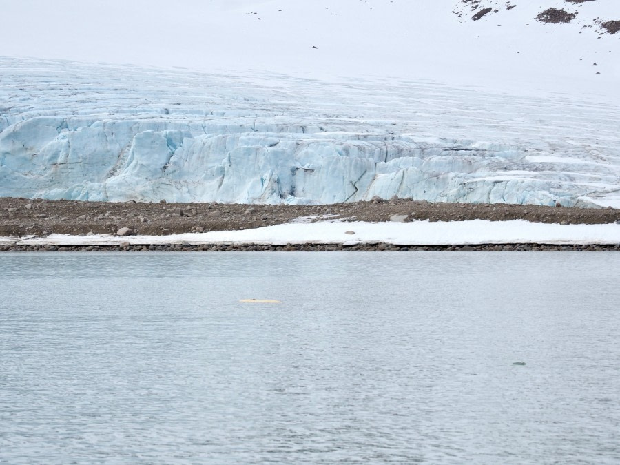 HDS07-19, DAY 03, Beluga - Bjornfjorden - Oceanwide Expeditions.jpg