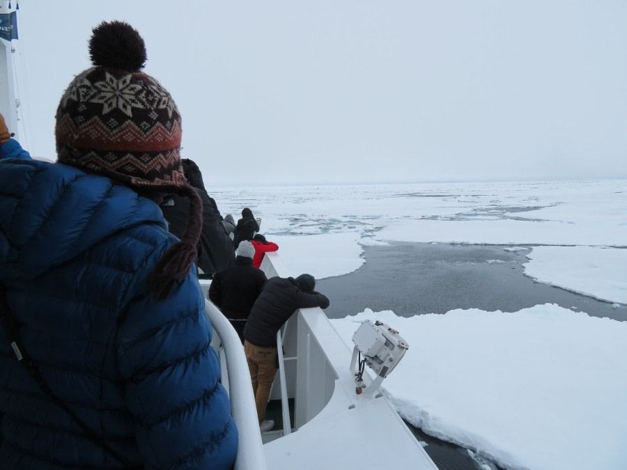 HDS06-19, DAY 06, MiriamVermeij-0307-Bear watching - Oceanwide Expeditions.jpg