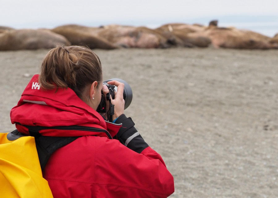 HDS09-19 DAY 09 MScott - Photographing walruses - Oceanwide Expeditions.jpg