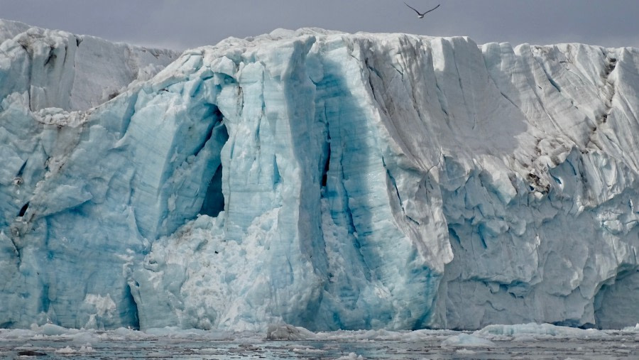 HDS08-19 DAY 08_meiksjoer-glacier2 -Oceanwide Expeditions.jpg