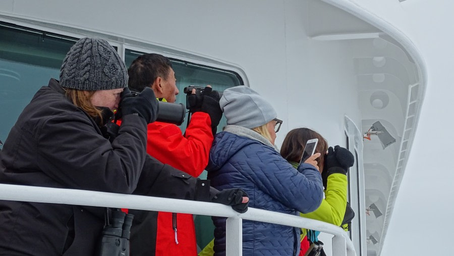 HDS08-19 DAY 07_meikesjoer-walrus -Oceanwide Expeditions.jpg