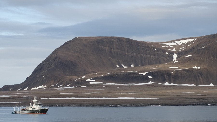 HDS08-19 DAY 03_meikesjoer-bearlocation2 -Oceanwide Expeditions.jpg