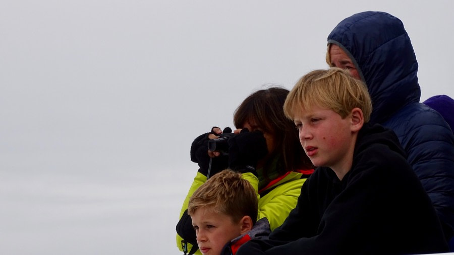 HDS08-19 DAY 07_meikesjoer- bears -Oceanwide Expeditions.jpg