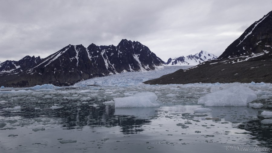 Texas Bar and Monacobreen