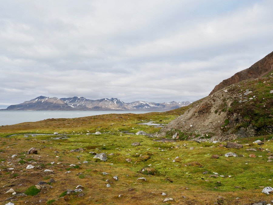 HDS08-19 DAY 04_Cornejo-Gardens at Fjortende Julibukta -Oceanwide Expeditions.jpg