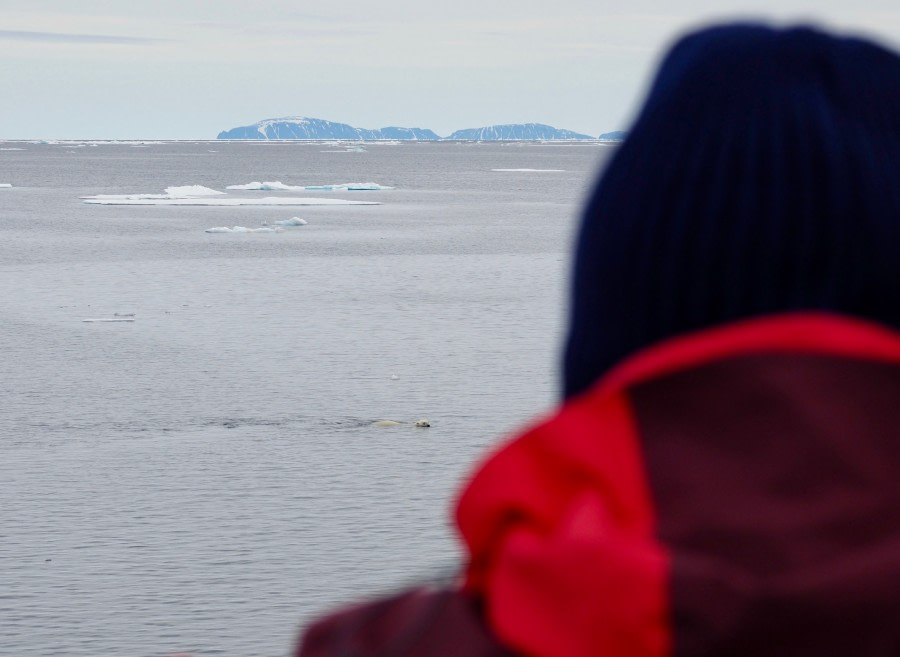 HDS09-19 DAY 04 Cornejo-Guest looking at Polar Bear - Oceanwide Expeditions.jpg