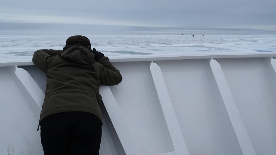 HDS08-19 DAY 07_meikesjoer-guest3 -Oceanwide Expeditions.jpg