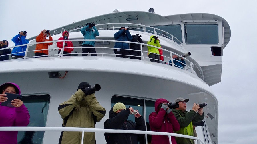 HDS08-19 DAY 04_meikesjoer-whales -Oceanwide Expeditions.jpg