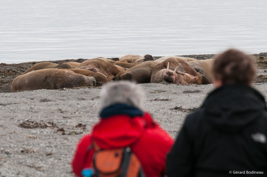 PLA14-19 DAY 06 2019-08-22_Ardneset_GerardBodineau -Oceanwide Expeditions.jpg