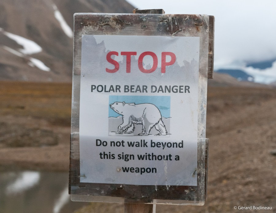 PLA15-19 DAY 06, 2019-08-31_PolarBearSign_GerardBodineau- Oceanwide Expeditions.jpg