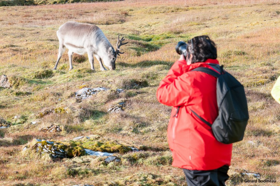 PLA15-19 DAY 07, 2019-09-01_WatchingReindeer_GerardBodineau- Oceanwide Expeditions.jpg