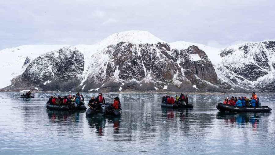 PLA14-19 DAY 03 19.08.2019Hamiltonbukta-Ross -Oceanwide Expeditions.jpg