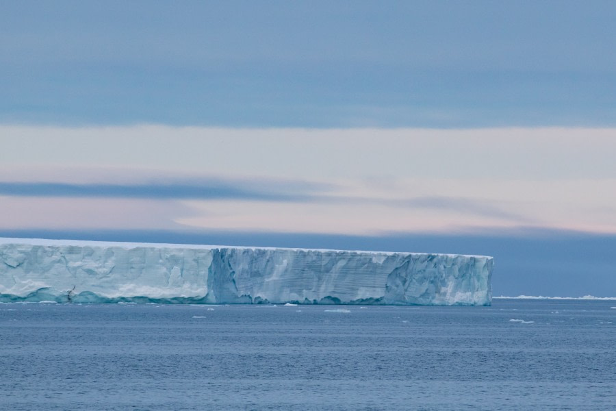 HDS11-19 DAY 07 pippalow-1105 -Oceanwide Expeditions.jpg