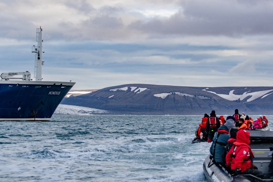 HDS11-19 DAY 08 pippalow-1391 -Oceanwide Expeditions.jpg