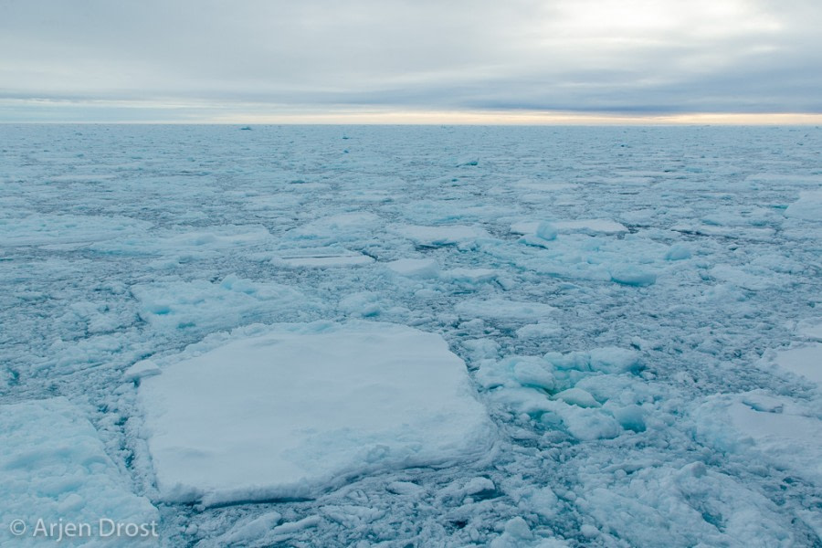 PLA15-19 DAY 04, 20190829_Arjen_Drost_0004- Oceanwide Expeditions.jpg