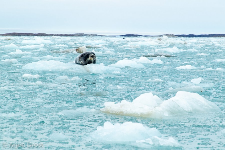 PLA15-19 DAY 05, 20190830_Arjen_Drost_0077- Oceanwide Expeditions.jpg