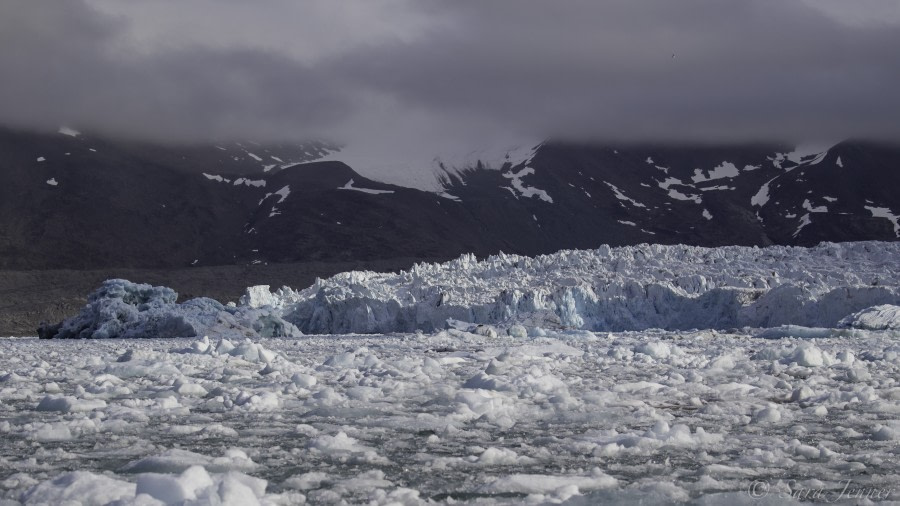 HDS11-19 DAY 03 Glacier 1 -Oceanwide Expeditions.jpg