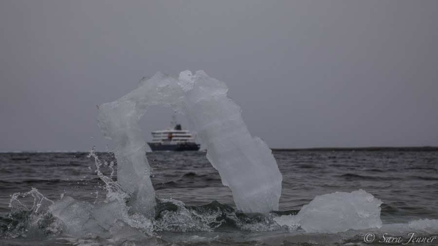 HDS11-19 DAY 06 Ice -Oceanwide Expeditions.jpg