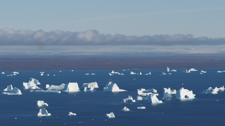 PLA16-19 20190910_Sydkap (c) Christian Engelke P9103516 -Oceanwide Expeditions.JPG