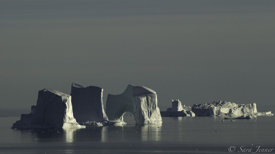 HDS15-19 Day 05 Icebergs -Oceanwide Expeditions.jpg