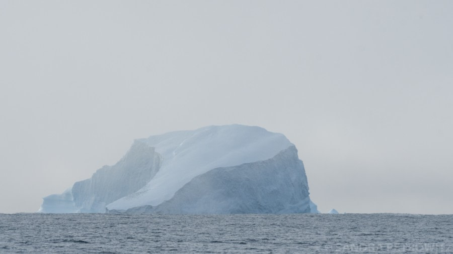 HDS15-19 Day 02 Day_2_FirstIceberg_SandraPetrowitz__DSC1037 -Oceanwide Expeditions.jpg