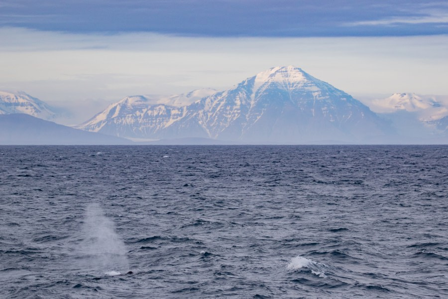 HDS15-19 Day 07 pippalow-6066 -Oceanwide Expeditions.jpg