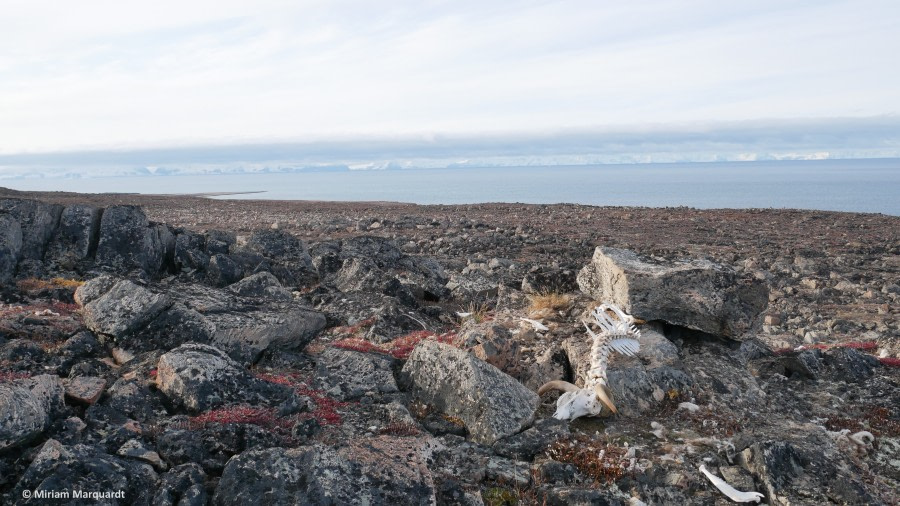 PLA16-19 20190911_Miriam-2 -Oceanwide Expeditions.JPG