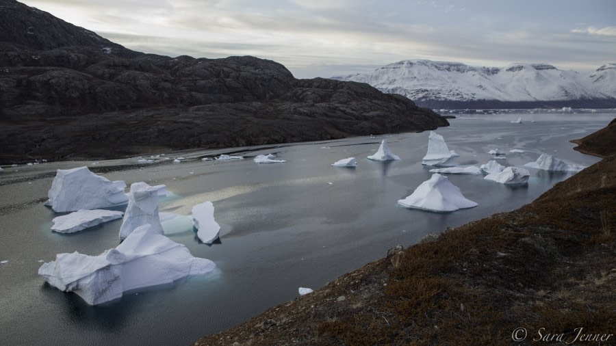 HDS15-19 Day 04 Landscape 8 -Oceanwide Expeditions.jpg