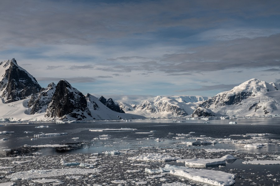 AM - Orne Harbour, PM -  Cuverville Island