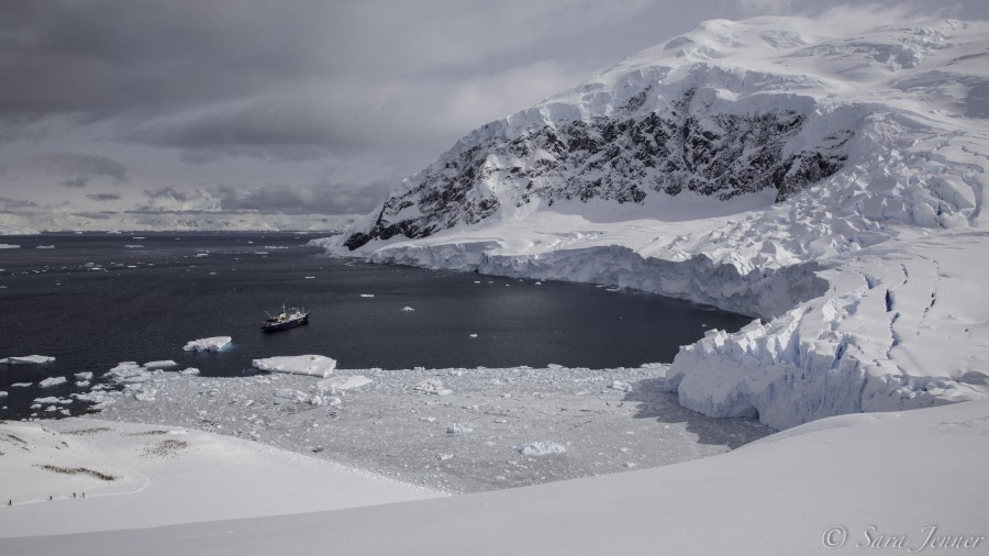 PLA22-19 Day 05, Neko Harbour_ Oceanwide Expeditions.jpg