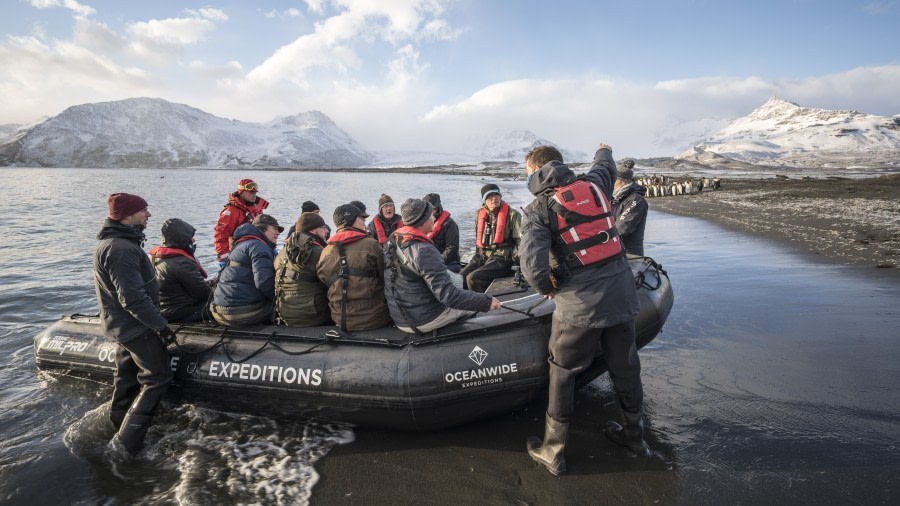 South Georgia - St. Andrews Bay, Grytviken