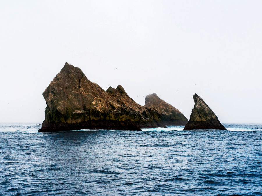 At Sea enroute to South Georgia