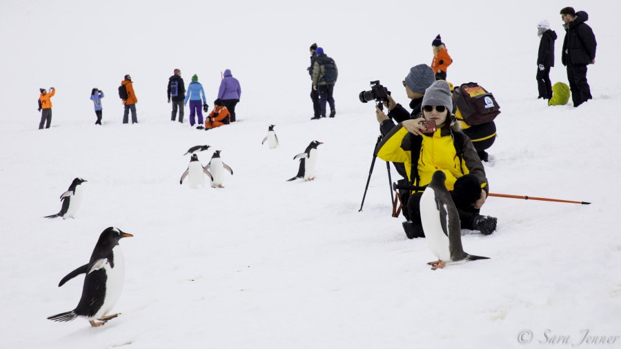 PLA22-19 Day 04, Guest 9_ Oceanwide Expeditions.jpg