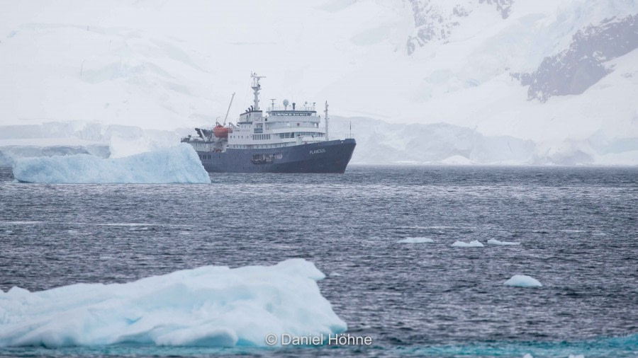 PLA23-19 Day 5 Daniel-Hoehne (9) - Oceanwide Expeditions.jpg