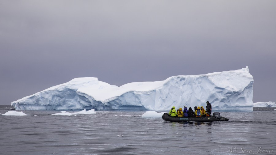 PLA23-19 Day 5 Zodiac cruise 9 - Oceanwide Expeditions.jpg