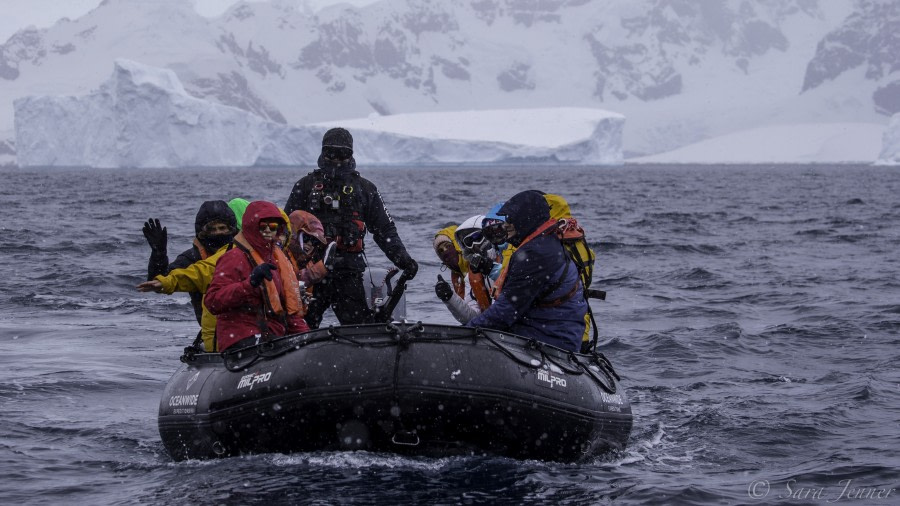 PLA23-19 Day 6 Zodiac cruise 1 - Oceanwide Expeditions.jpg