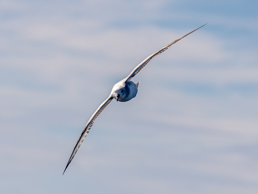 Drake passage