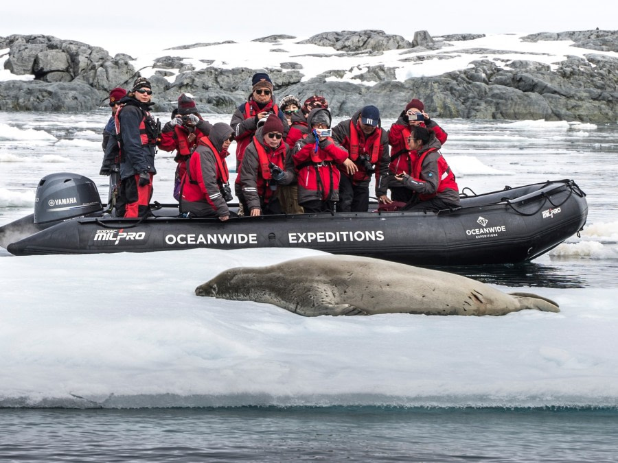 HDS24-19 Vernadsky-719843 -Oceanwide Expeditions.jpg