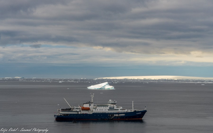 PLA24-19 Day 14 20191213_Katja Riedel_P2350111 - Oceanwide Expeditions.jpg