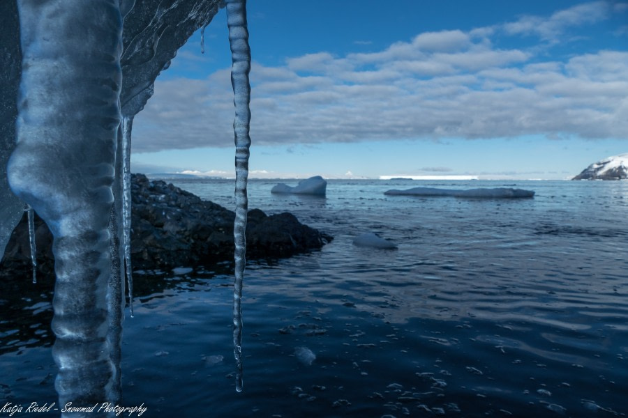 PLA24-19 Day 14 20191213_Katja Riedel_P2350189 - Oceanwide Expeditions.jpg