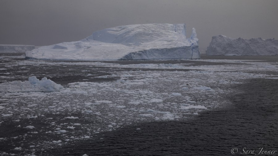 PLA24-19 Day 15 Ice - Oceanwide Expeditions.jpg