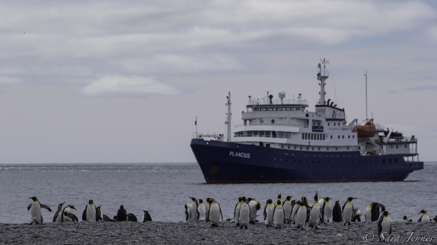 PLA24-19 Day 7 Ship - Oceanwide Expeditions.jpg