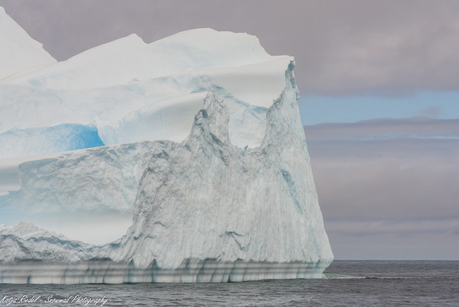 PLA24-19 Day 10 20191209_Katja Riedel_DSC_3255 - Oceanwide Expeditions.jpg