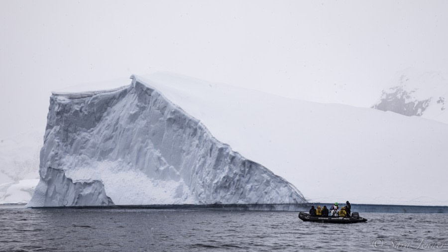 PLA23-19 Day 6 Stony Point - Oceanwide Expeditions.jpg