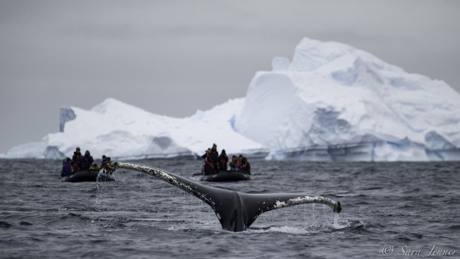 HDS25-19 DAY 07, Portal point 8 -Oceanwide Expeditions.jpg