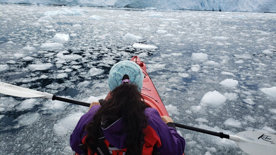 Antarctic Kayaking