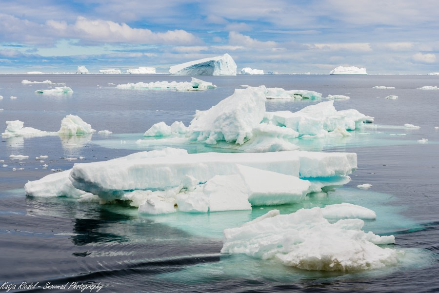 PLA24-19 Day 12 20191211_Katja Riedel_DSC_3493 - Oceanwide Expeditions.jpg